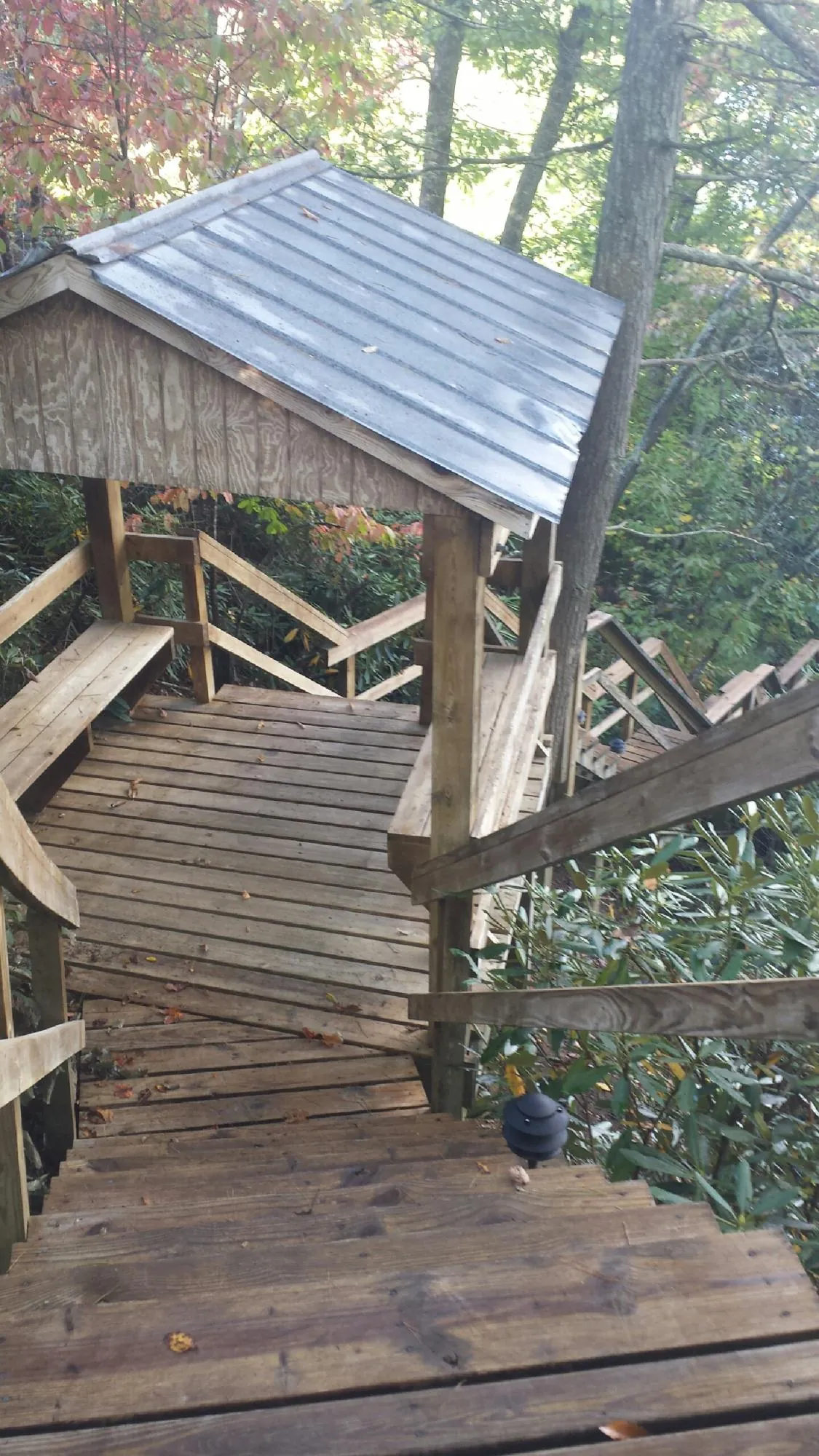 Metal roofed shelter over wooden steps on a wooded walkway — Skylight Repair & Installation work by our crew in Naselle