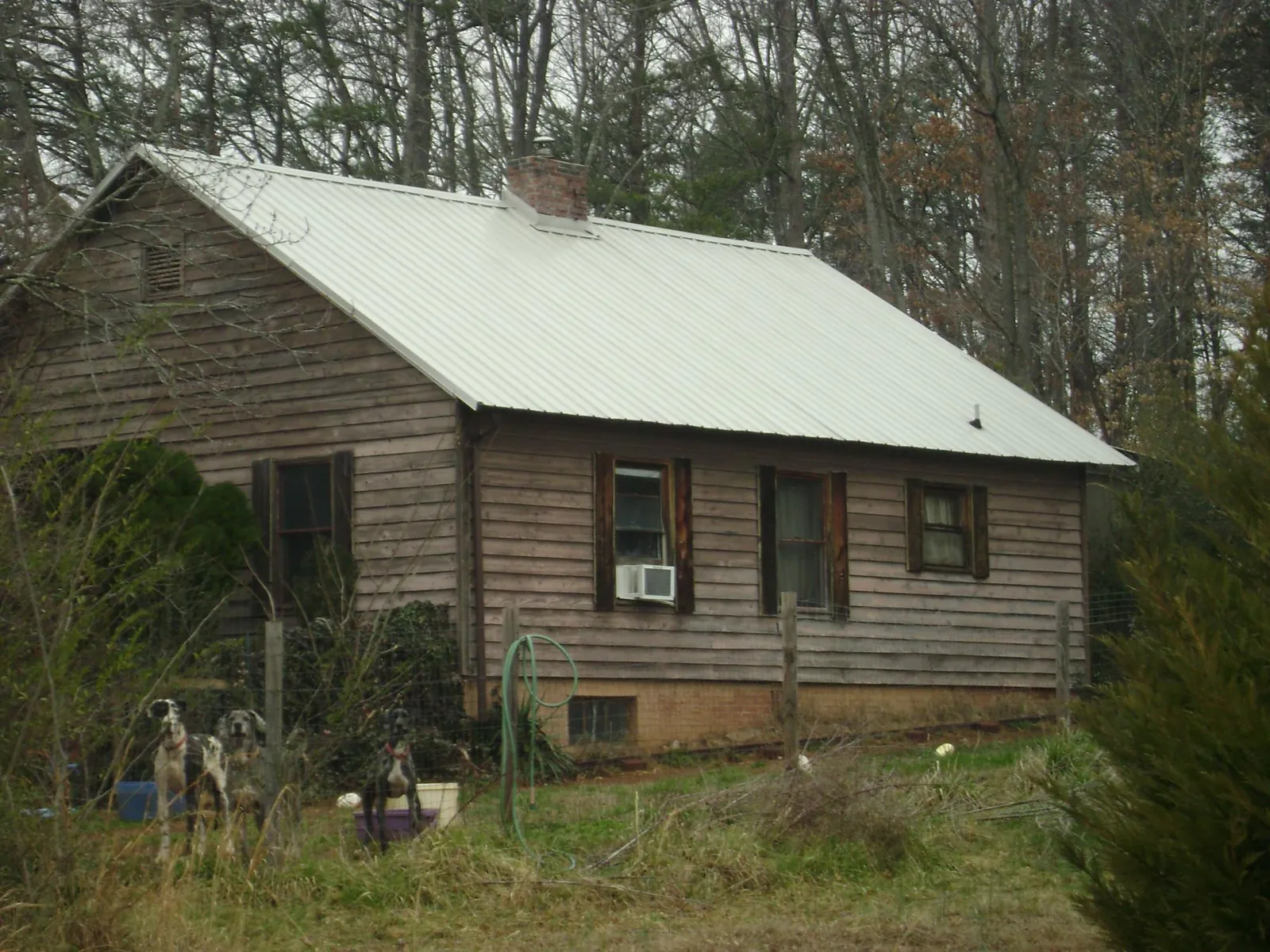 White metal roof on an old wood sided farmhouse, from a Metal Roof Installation job in Naselle